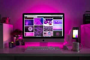 pexels designecologist 1779487 (1)